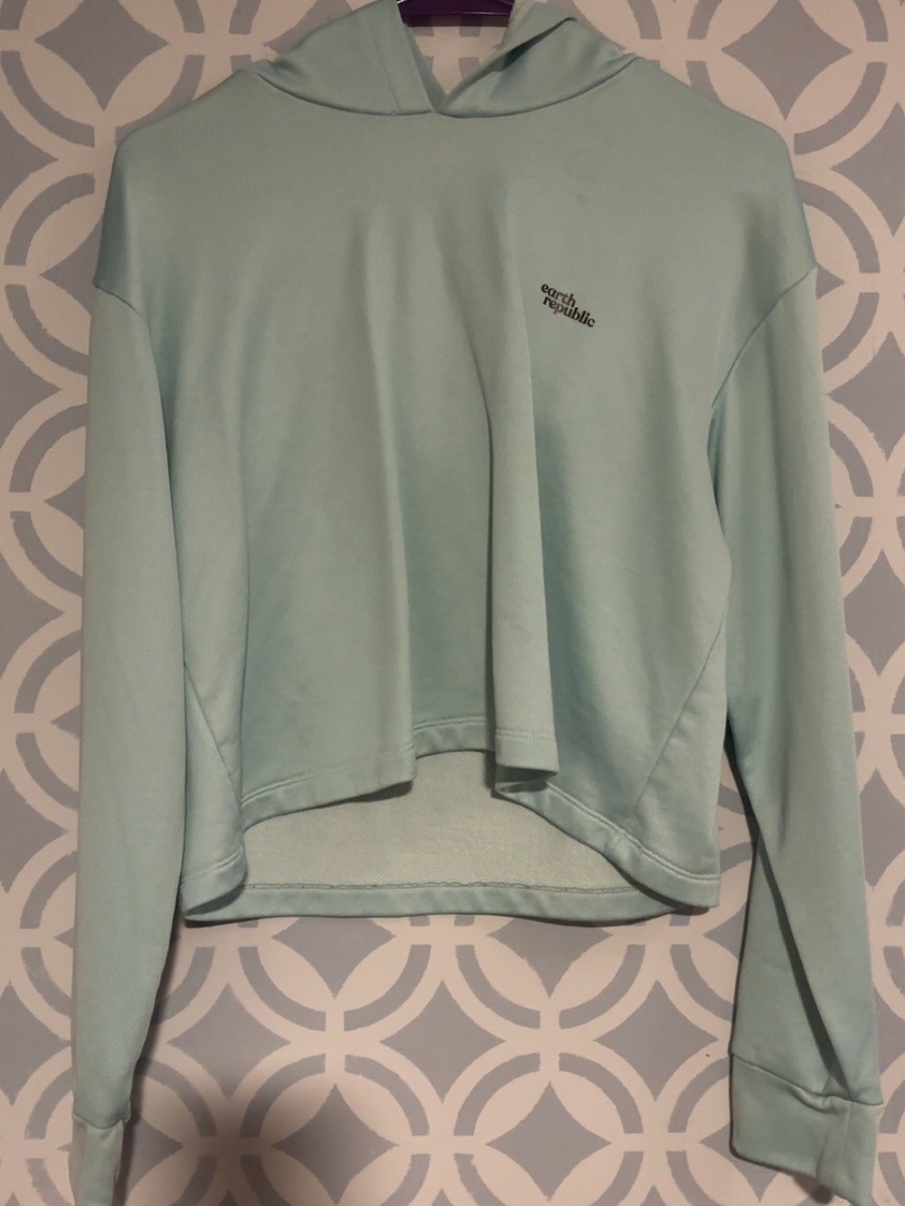 Mint Green Cropped Hoodie Top